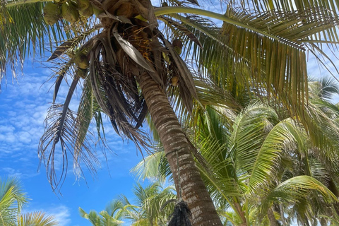 Panama City: San Blas Tropical Adventure – 3 Islands with Lunch at a Local Restaurant Tropical Adventure in Guna Yala: 3 Islands with Lunch at a Local Restaurant