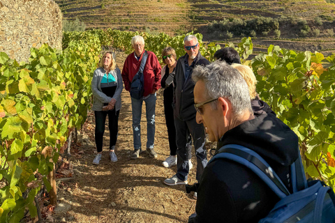 Douro Valley: Wine & Olive Oil Tour with Boat & Lunch Douro Valley: 2 Wineries, Boat Cruise & Traditional Lunch