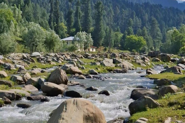 Kashmir: 5-Day Private Tour with Accommodation