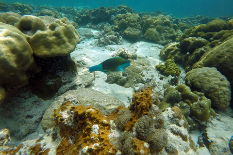 De Phuket: excursion privée d'une journée en hors-bord sur l'île de Phi Phi