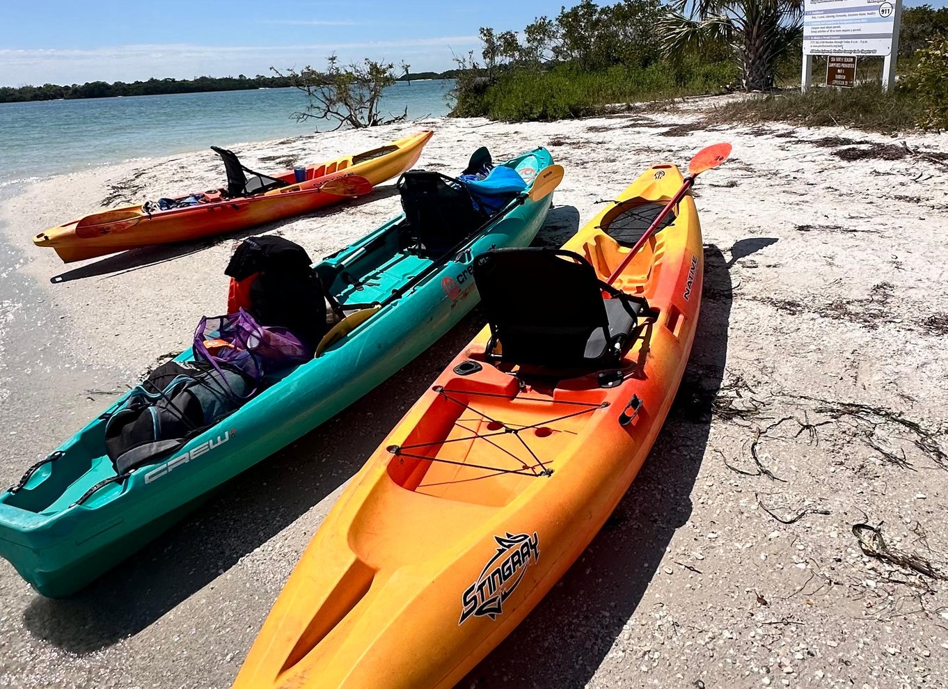 Tierra Verde: Shell Key Mangrove Privat guidet tur på 1,5 time