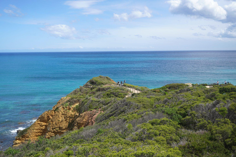 2-Day Private Premium Great Ocean Road Tour