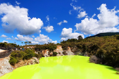 Nueva Zelanda: Ruta guiada de 26 días por la Isla Norte con acampada