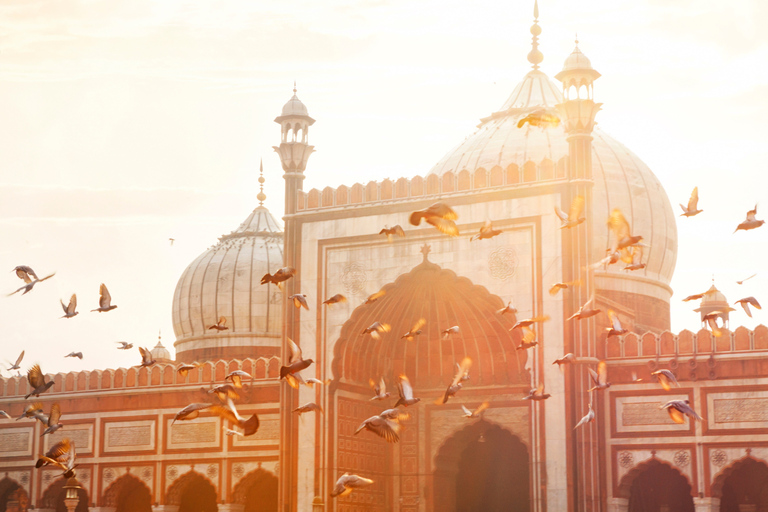 Old Delhi Half-Day Walking Tour with Car Transfers Option 1: Pick-up & drop-off from New Delhi/Delhi Airport