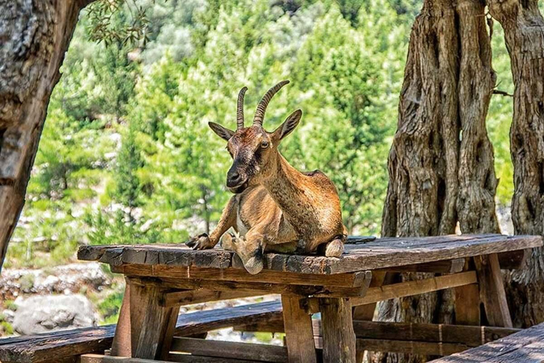 Chania Area with Pick up: Samaria Gorge Hike and Boat Ride