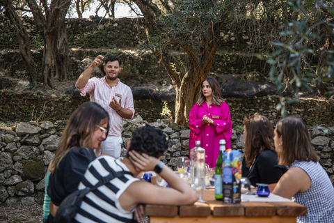 Corfu: Guided Olive Groves Tour with Olive Oil Tasting