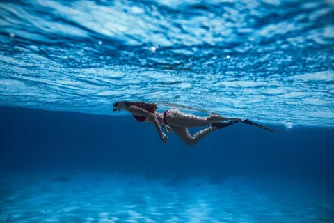 From Roses : Un monde sous-marin d'aventures avec la natation et la vision sous-marine