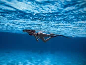Cap De Creus: Esplora e vivi un mondo acquatico