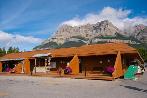 Champ de glace : glacier Crowfoot, lac Bow-Peyto et canyon Marble