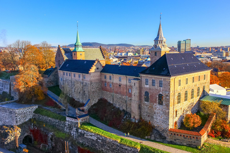Oslo Old Town Walking Tour and Fjord Cruise Tickets
