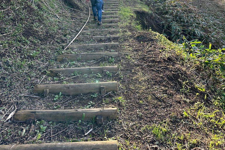 Capelas, Fenais da Luz, dégustations et expériences traditionnellesCapelas, Fenais da Luz, Dégustations et Expériences Traditionnelles
