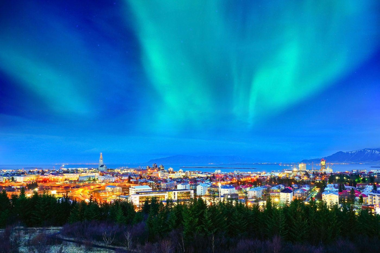 Reykjavik: Private Night Tour