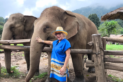 Chiang Mai: Pro Private Driver Service with Custom Itinerary