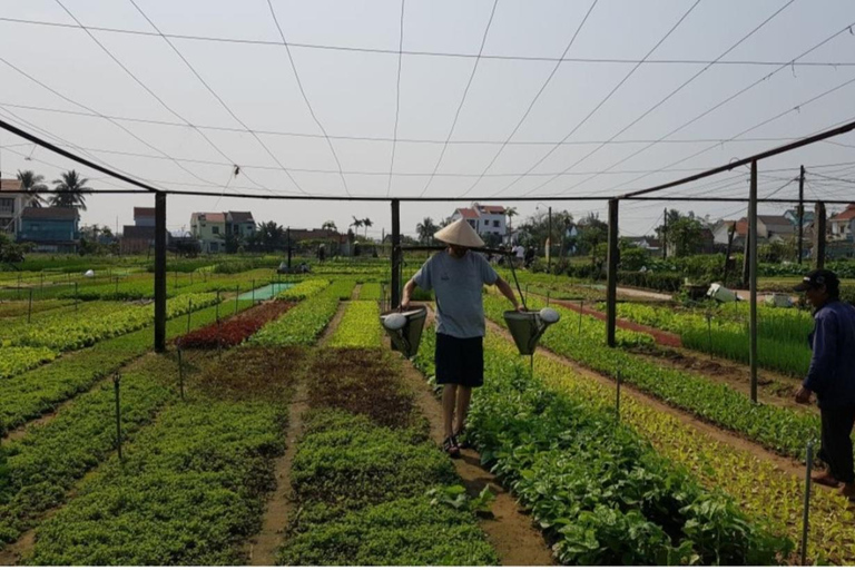 Hoi An:Private Countryside Sightseeing Bike Tour&Basket Boat