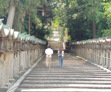 Nara: Hozan-ji Temple Guided Tour with Cable Car Ride
