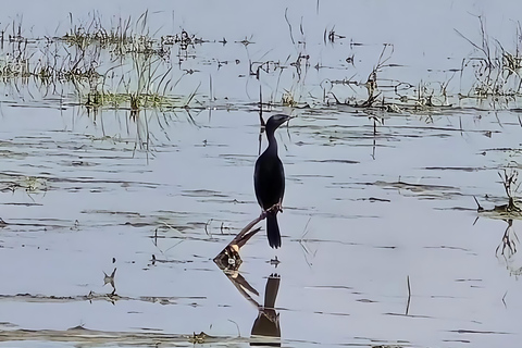 Aldea Bishnoi: recorrido de safari