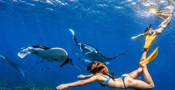 From Bali: Nusa Penida 3 Spots Snorkeling Tour & West Island