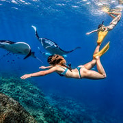From Bali: Nusa Penida 3-Spot Snorkeling & West Coast Tour