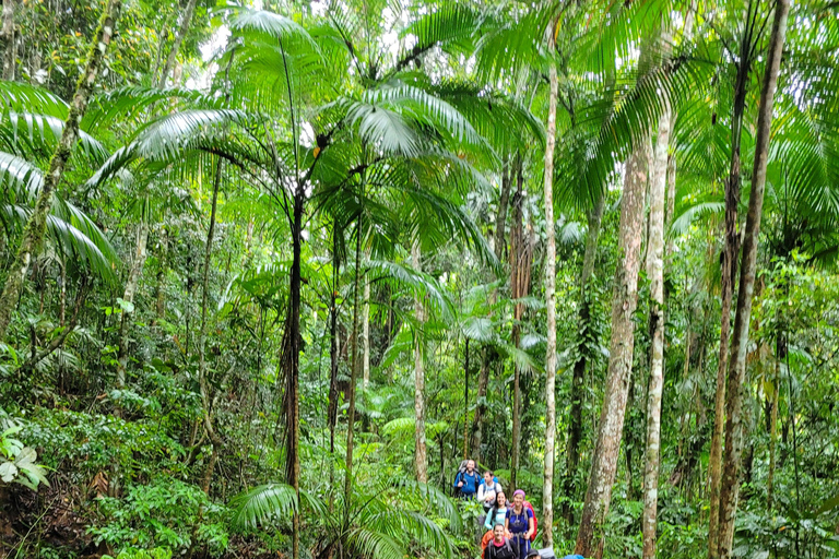 JUATINGA: 4-tägige Tour ATLANTISCHER WALD und STRÄNDE - PARATY - RIO DE JANEIRO