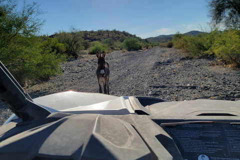 Phoenix: ATV Tour with Panoramic Views ATV Tour with Panoramic Views 2-Seater (Driver Only)