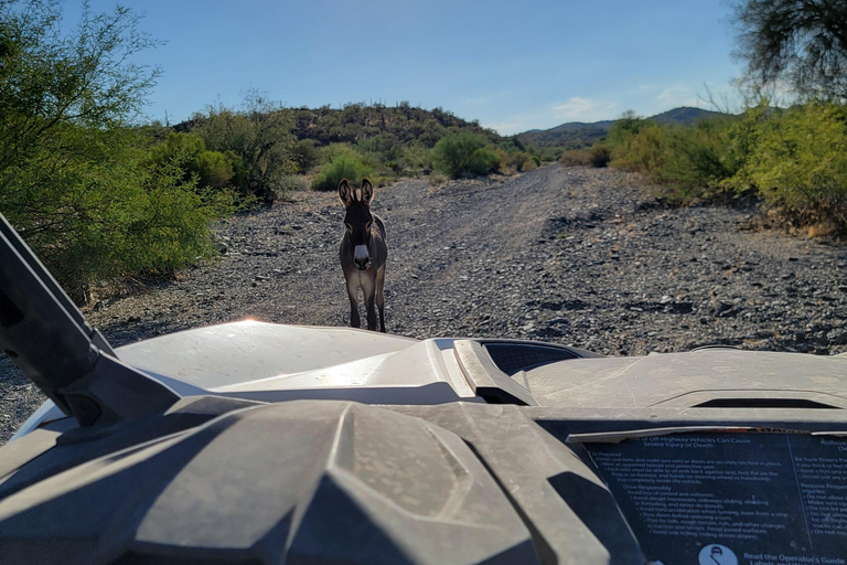 Phoenix: ATV Tour with Panoramic Views ATV Tour with Panoramic Views 2-Seater (Driver Only)