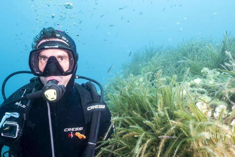 Try Scuba Diving from Boat in Budva - Budva Diving Center