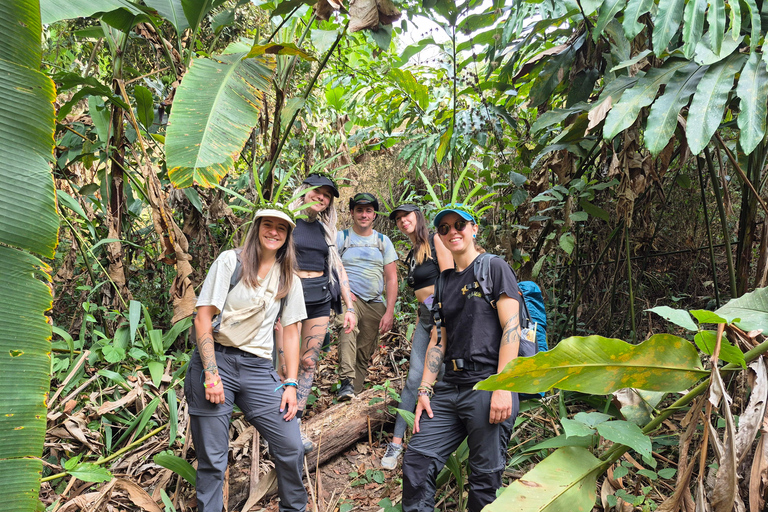 Chiang Rai: 2-Day Jungle Trek only walk with Waterfall