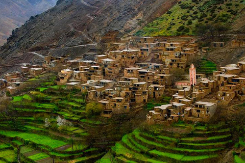 Excursion d'une journée à Marrakech en tyrolienne dans le Haut Atlas