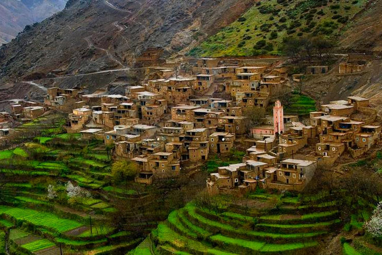 Excursion d'une journée à Marrakech en tyrolienne dans le Haut Atlas