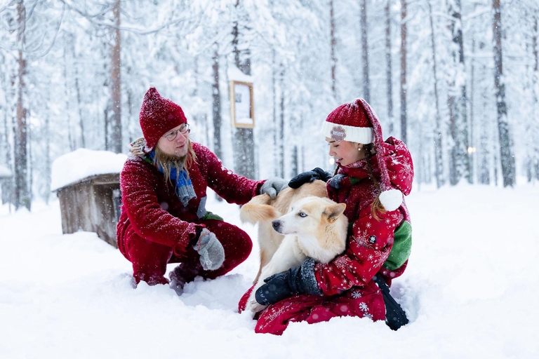 Rovaniemi: Meet Santa's Most Trusted Husky Dogs