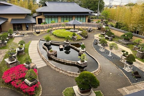 From Tokyo: Omiya Bonsai Village Tour with Licensed Guide - 2026 (Verified  Reviews)