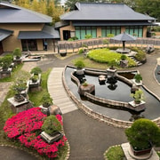 From Tokyo: Omiya Bonsai Village Tour with Licensed Guide - 2026 (Verified  Reviews)