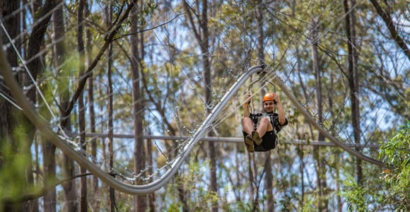 Central Coast Forest: Zipcoaster & High Ropes Adventure