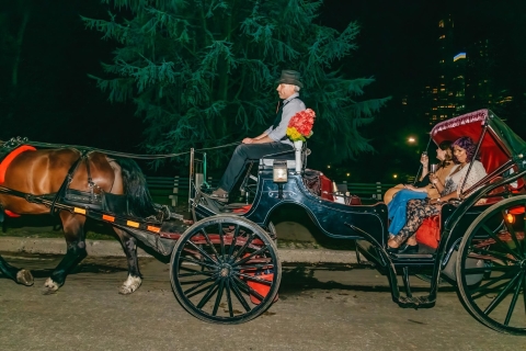 Central Park NYC: Fahrt mit Pferd und Kutsche