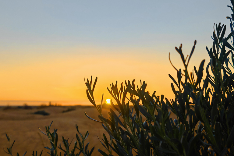 Dżerba: Zachód słońca, wschód słońca i jedna noc w berberyjskim namiocie.Dżerba: zachód słońca, wschód słońca i jedna noc w berberyjskim namiocie.