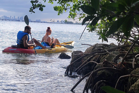 Miami: Biscayne Bay Ultimate Boat Tour with Kayak Experience