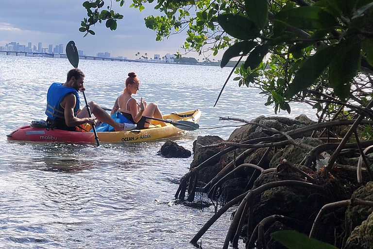 Miami: Biscayne Bay Ultimate Boat Tour with Kayak Experience