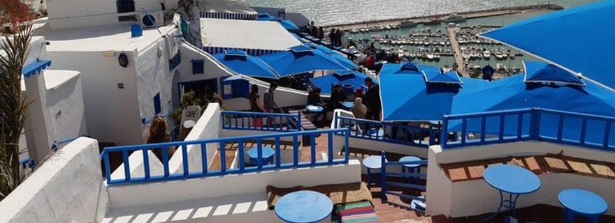 Tunis : visite guidée des temps forts de Carthage, Sidi Bou Saïd et le musée du Bardo