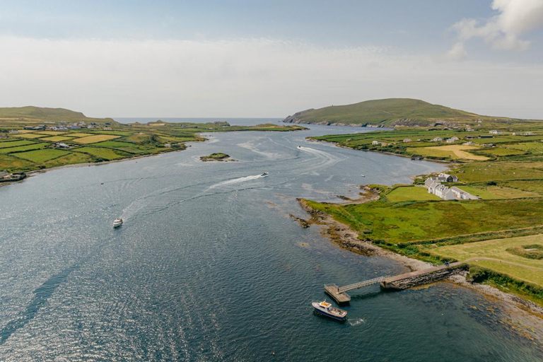 Skellig Michael: Great Skellig Panoramic Boat Tour