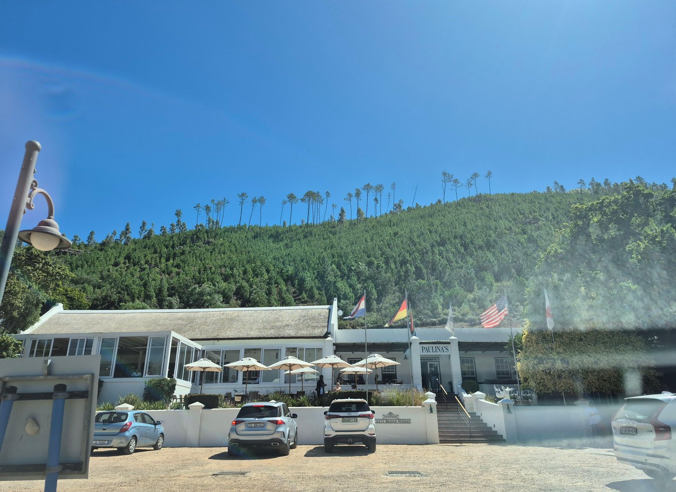 Vineyard Tour: Vin- og ostesmagning og vandretur i Franschhoek
