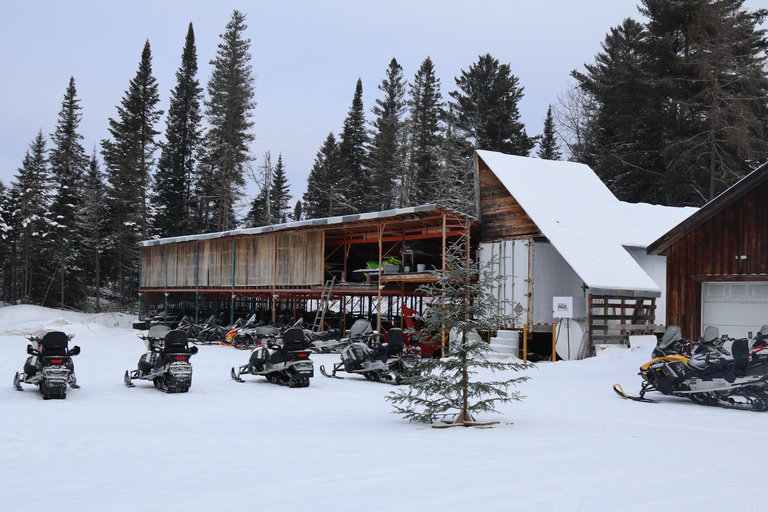 Montreal: Canadian Forest Guided Tour by Snowmobile Snowmobile for One Person