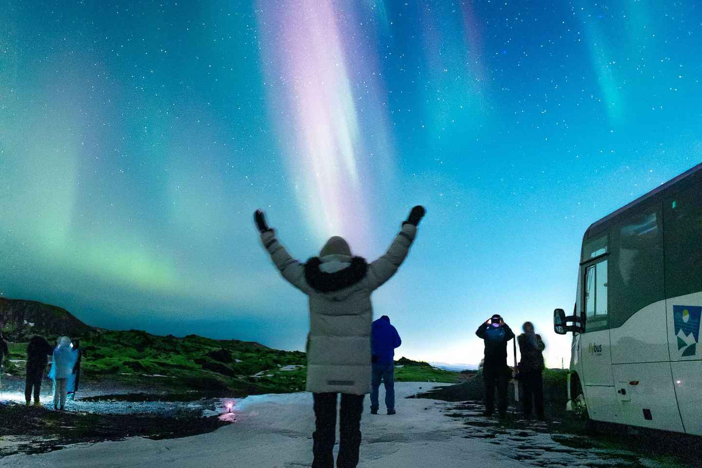 Da Reykjavik: Tour Aurora Boreale