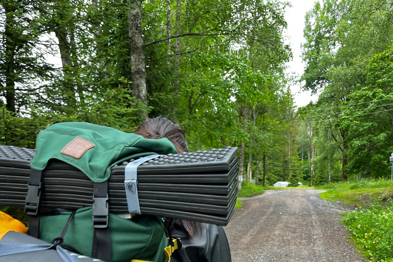 From Oslo: Norwegian Forest Survival Day Trip