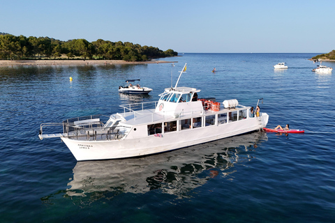Alcudia: Private Boat Charter for Groups with Snorkel & SUP 4h Private Boat Charter