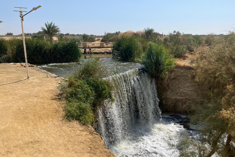 From Cairo: 4x4 Desert Safari, Waterfalls & Magic Lake Shared Tour: Wadi El Rayan, Magic Lake & Lake Qarun, Jeep