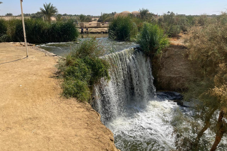 From Cairo: 4x4 Desert Safari, Waterfalls & Magic Lake Shared Tour: Wadi El Rayan, Magic Lake & Lake Qarun, Jeep