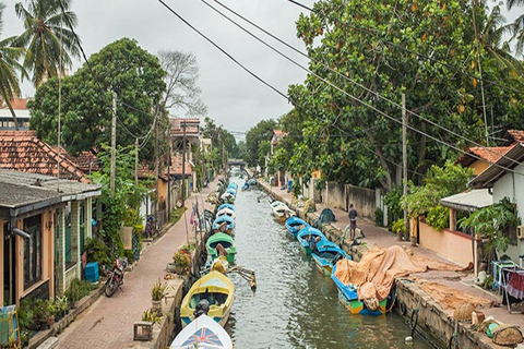 Kandy to Negombo: Sigiriya & Dambulla Day Trip