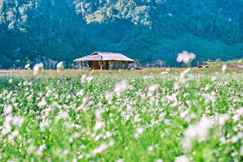 Desde Hanói: Excursión en grupo Premium de 2 días a Mai Chau