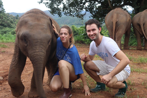 Chiang Mai: Excursión a Doi Inthanon y Santuario de ElefantesServicio de recogida del hotel