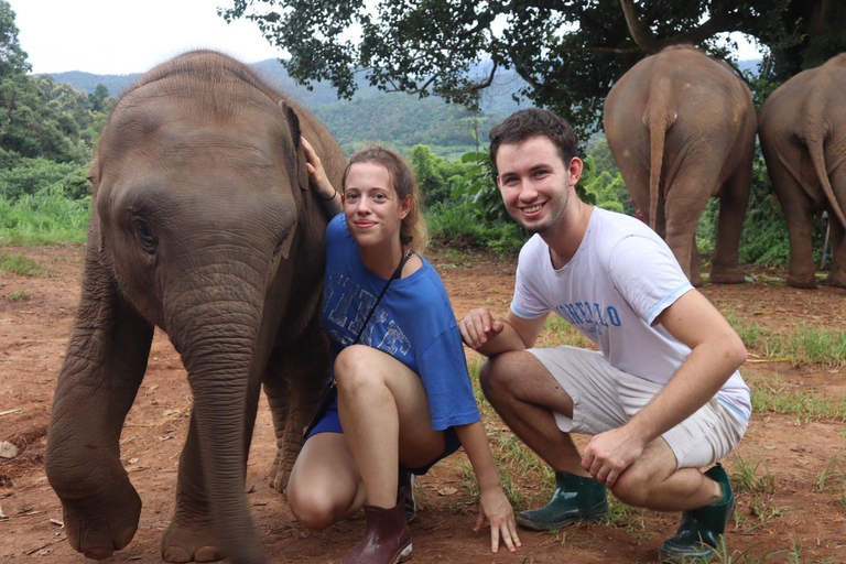 Chiang Mai : Visite du Doi Inthanon et du sanctuaire des éléphantsPrise en charge à l&#039;hôtel